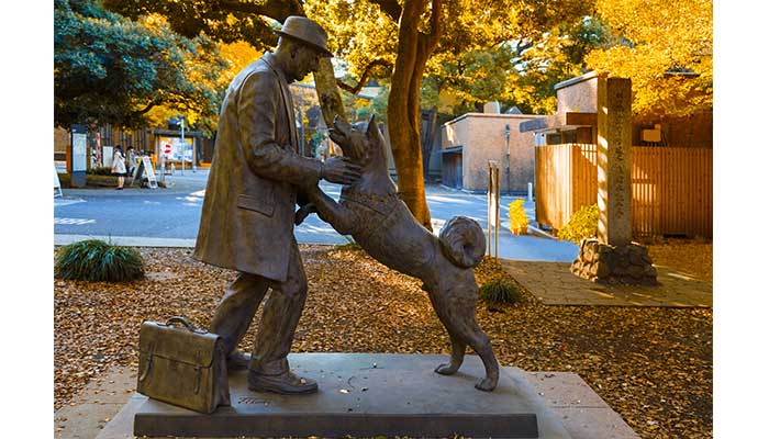 The heart-warming story of Hachiko the most loyal dog in the world