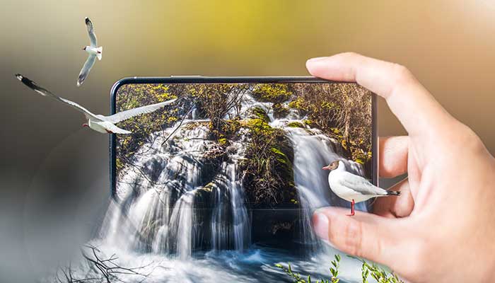 5 Tips On Clicking Photos Like A Pro On Your Mobile
