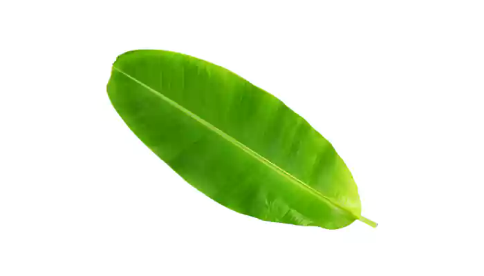 Health benefits of eating on banana leaf
