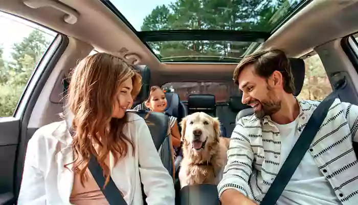 7 Dog-Friendly Countries To Boost Pet-Friendly Travel